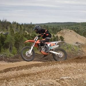 Meet your Posher, Riley